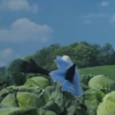 vrdEQWMbK758446's profile picture