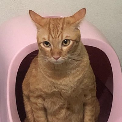 sivakorn lert's profile picture