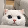 latte profil fotoğrafı