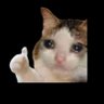 Okay profil fotoğrafı