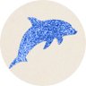 イルカ🐬 profil fotoğrafı