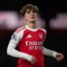 Arsenal Ant's profile picture
