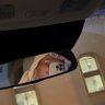 Abdulmajeed profil fotoğrafı