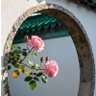 شـ 🌸 的头像