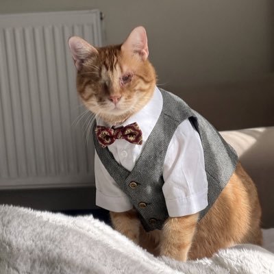 Veysel Görmiyenoğulları's profile picture