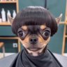 Profilbild von queenโค๏ธ