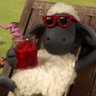 Profilbild von .