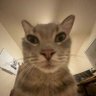 Profilbild von snaxx