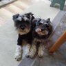 lotti&clara's profile picture