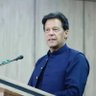 پٹواریوں کا ابو جی 的头像