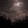31D3N_Zoo9's profile picture