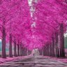 Фото профиля JS