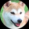 柴ぱん 的头像