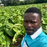 Mkwabiksaidi's profile picture