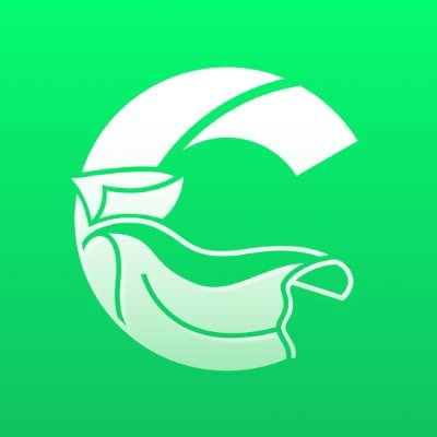 zCloakNetwork's profile picture
