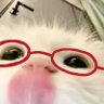 Profilbild von 뇨냐밍_ficial