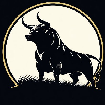 ToroSinExcusas's profile picture