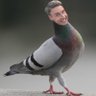 Profilbild von Gary Hicks