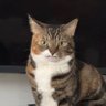 Profilbild von Mena