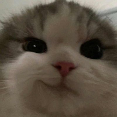 🌞 Filip Wszołek 🌞's profile picture