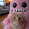 CurioCrafter's profile picture