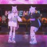 ゆうゆ🥕💙🤍10.3有明's profile picture