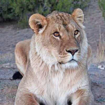 biodiversity_w's profile picture