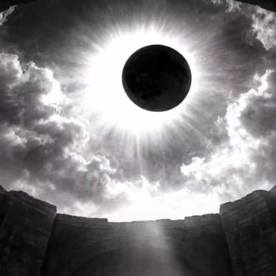 onchainbookie's profile picture