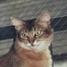 SARA's profile picture