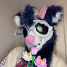 𝕄𝕒𝕕𝕕𝕪's profile picture