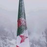ALJAZAYIRIU🇩🇿 的头像