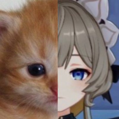 ultlesbien's profile picture