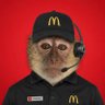 JZTradezz's profile picture