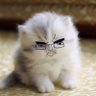 Profilbild von Jap