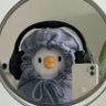 Hazel's profile picture