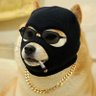 Profilbild von SALTY 913
