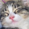 dæmoon's profile picture