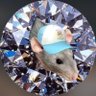 Profilbild von gabiru