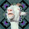 Wierdus's profile picture