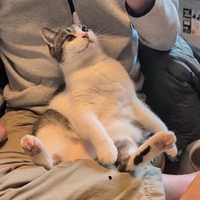 Ozetan2000's profile picture
