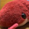 Profilbild von 謎の甲殻虫