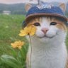 Eman's profile picture
