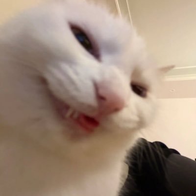 TOAG's profile picture