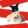 ⊙⊝⊜PupGi⁷ ⟭⟬ 🔍⍤⃝🔎 profil fotoğrafı