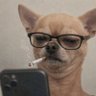 Profilbild von bZjorge91