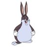 Bozheng Li's profile picture