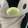 Penguin Popperz's profile picture