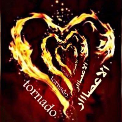 kf_ai8's profile picture