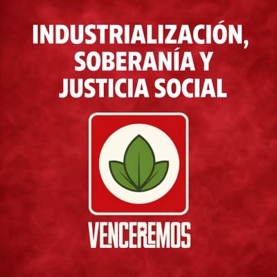 AlfonsoBermejoV's profile picture