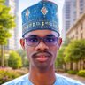 Usman Ali Usman 💰's profile picture